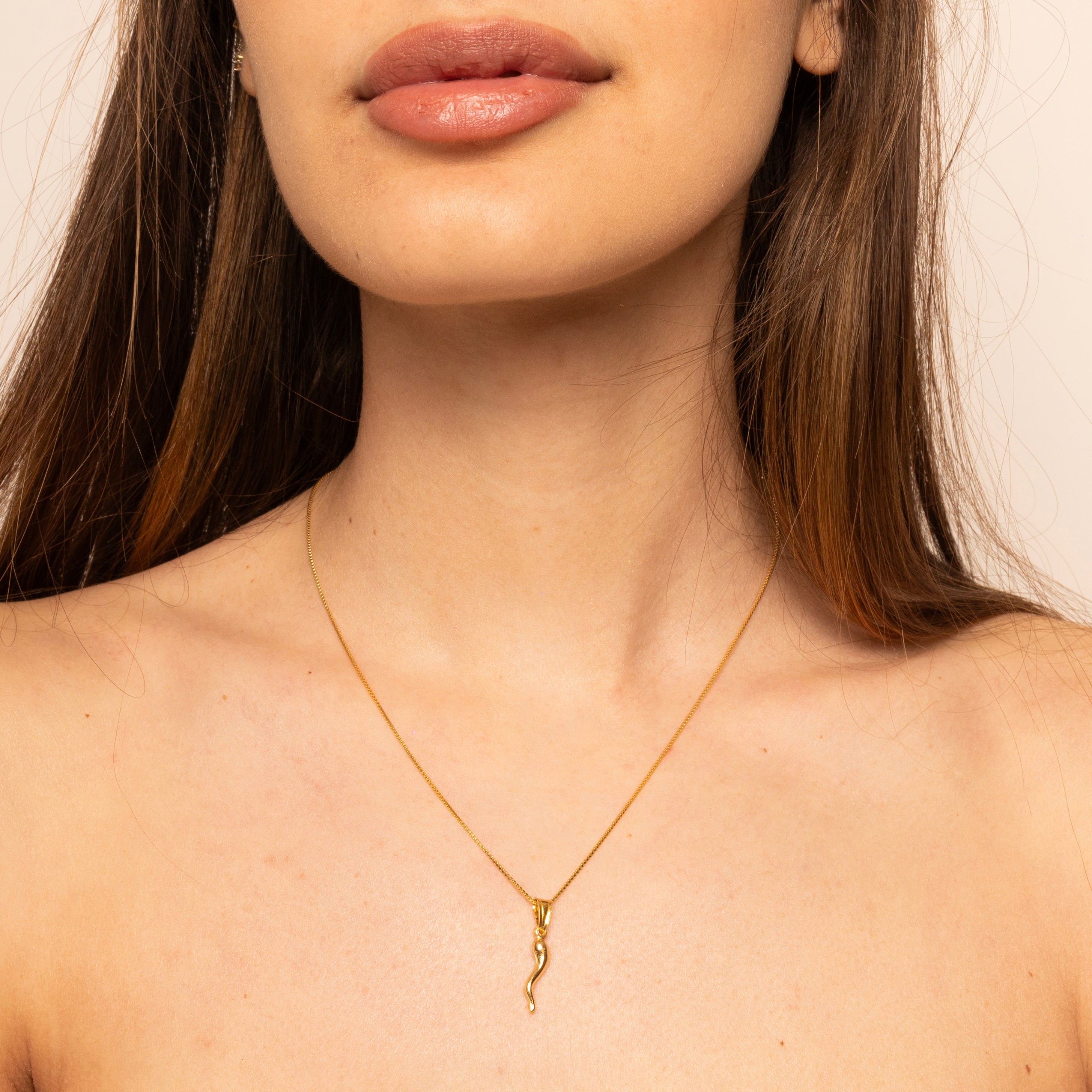 Necklace with gold horn